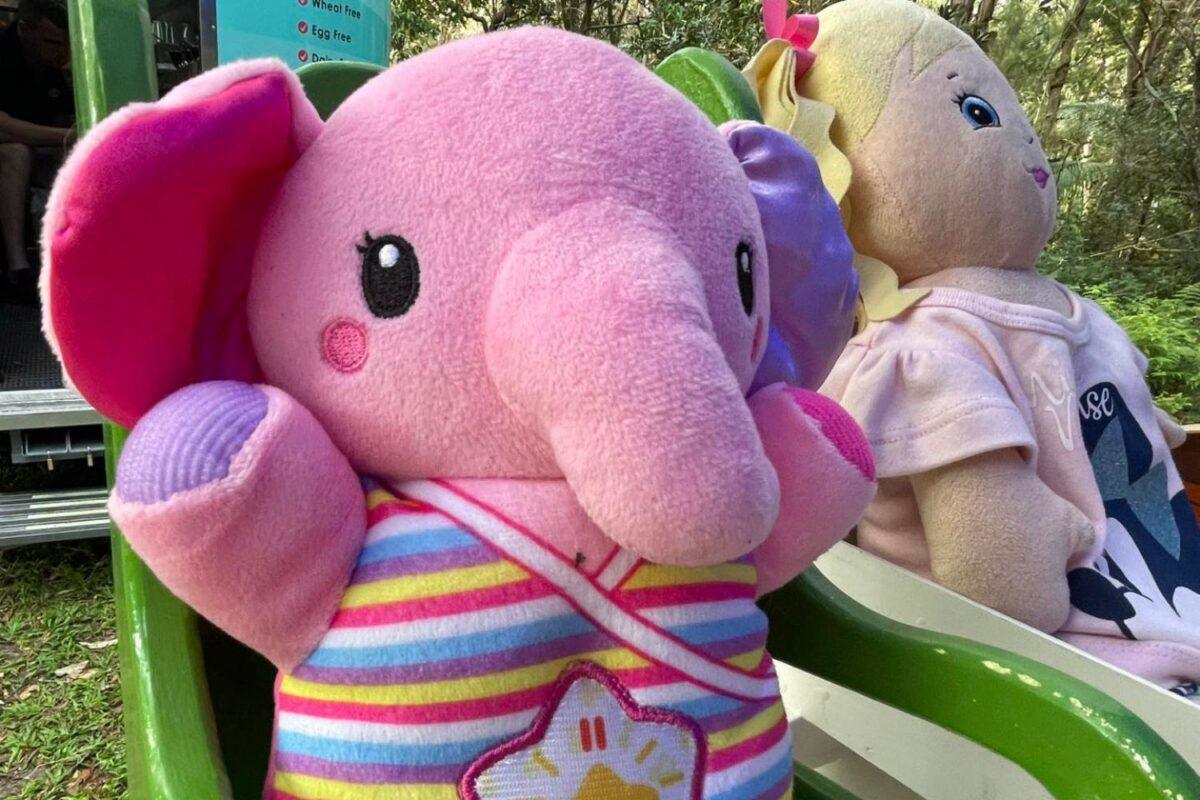 Pre-Loved Toys Australia | Merry Go Round Toys