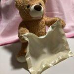 Interactive Peek a Boo Teddy