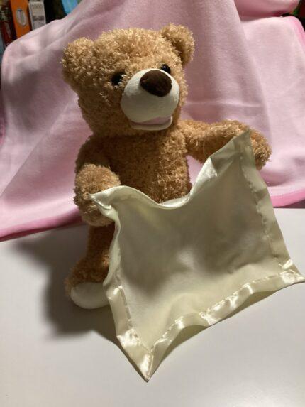 Interactive Peek a Boo Teddy