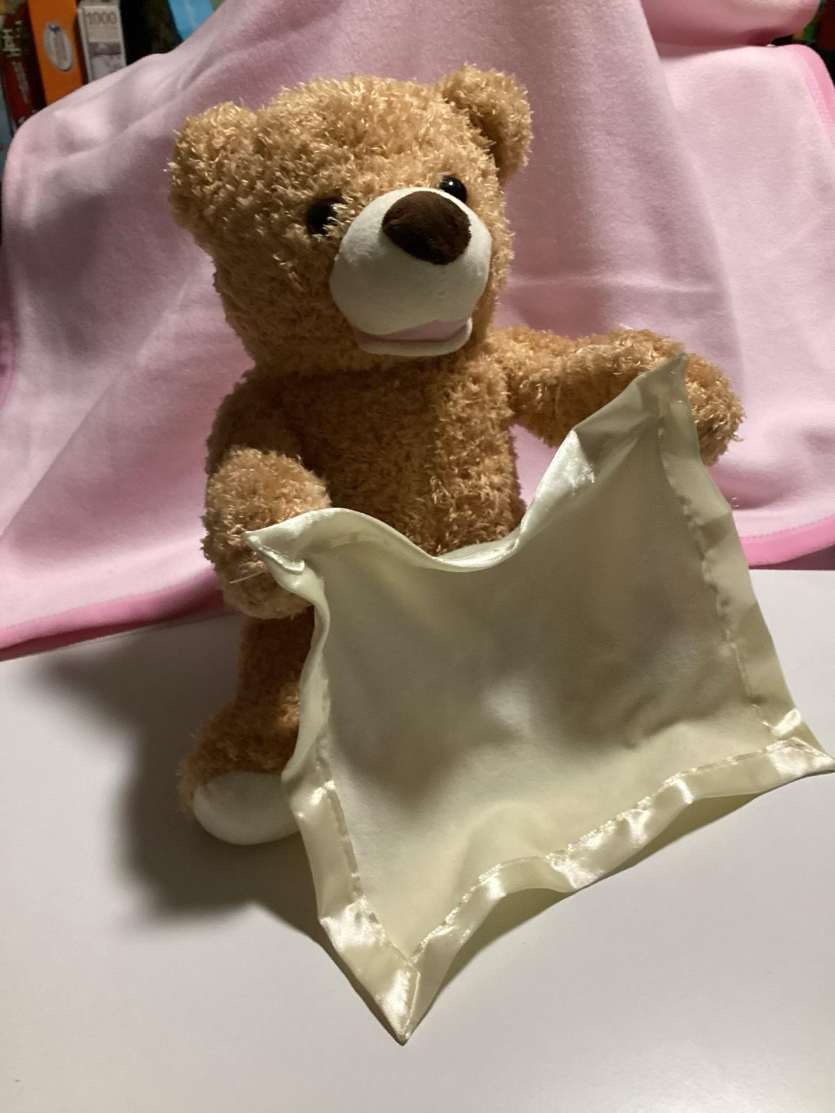 img_3890 Interactive Peek a Boo Teddy - Image 1